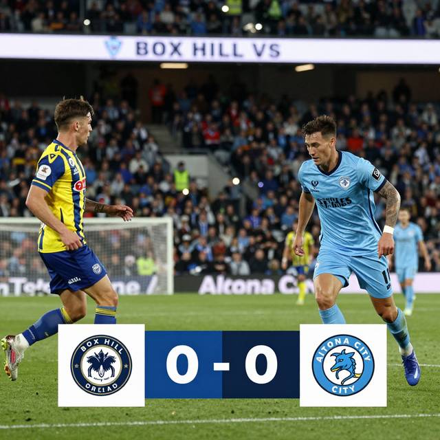 Box Hill vs Altona City: Dự đoán và nhận định Victoria Premier League 2